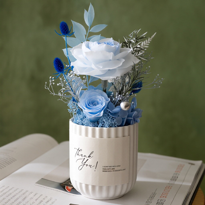 Preserved Austin Rose in Mini Pot - Elegant Desktop Decoration & Gift Idea