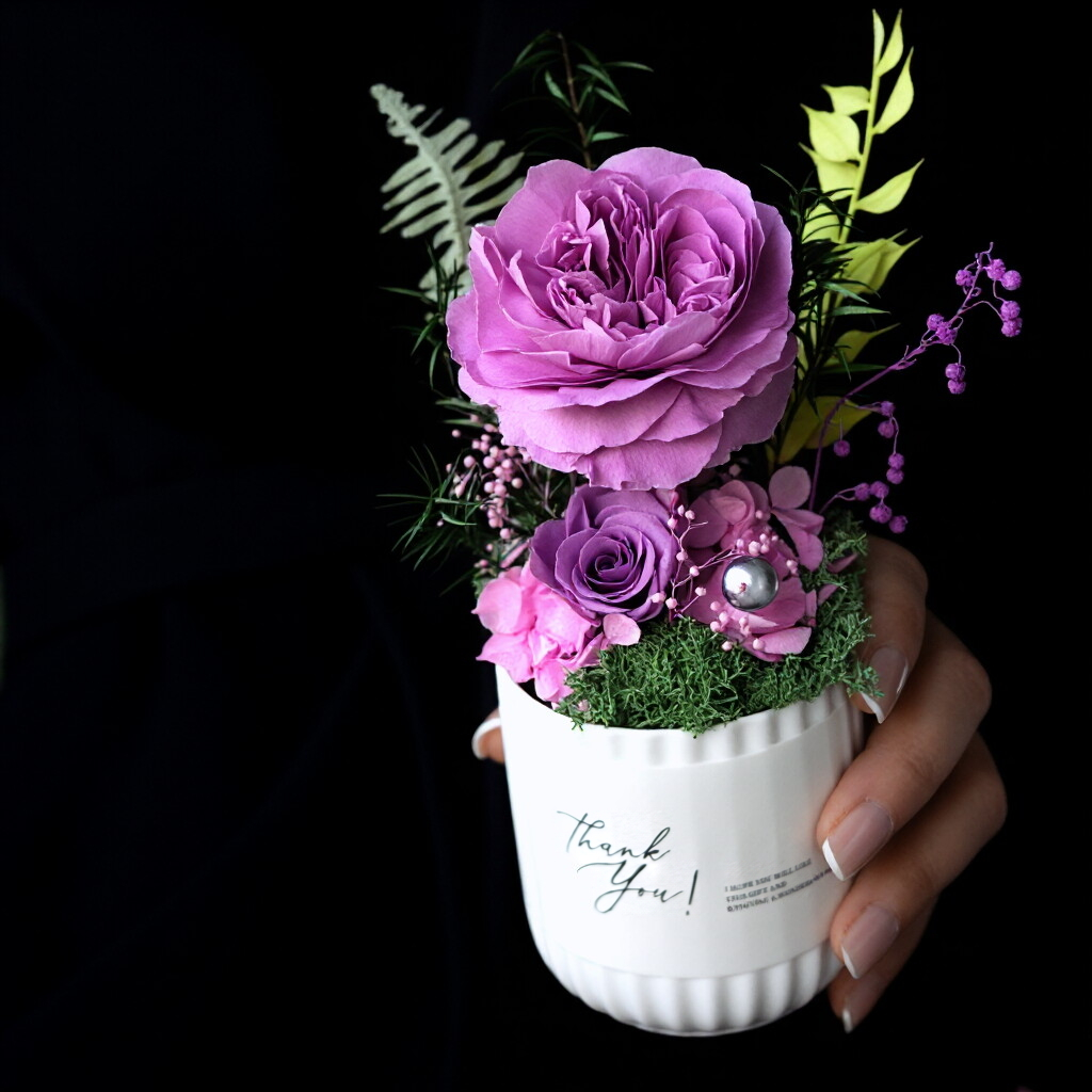 Preserved Austin Rose in Mini Pot - Elegant Desktop Decoration & Gift Idea